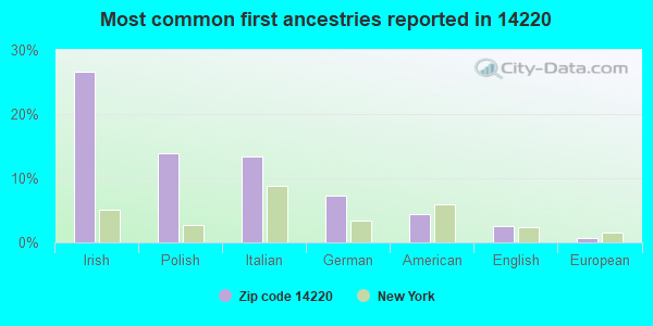 Most common first ancestries reported in 14220