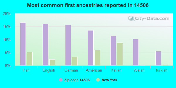 Most common first ancestries reported in 14506