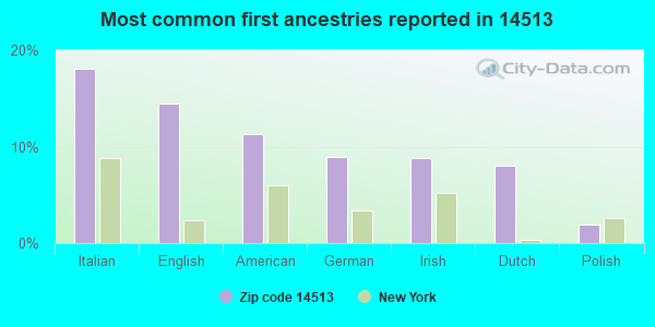 Most common first ancestries reported in 14513
