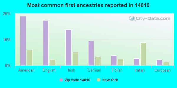 Most common first ancestries reported in 14810