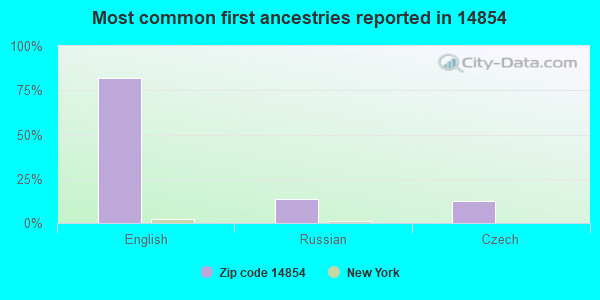 Most common first ancestries reported in 14854