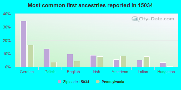 Most common first ancestries reported in 15034