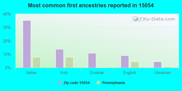 Most common first ancestries reported in 15054