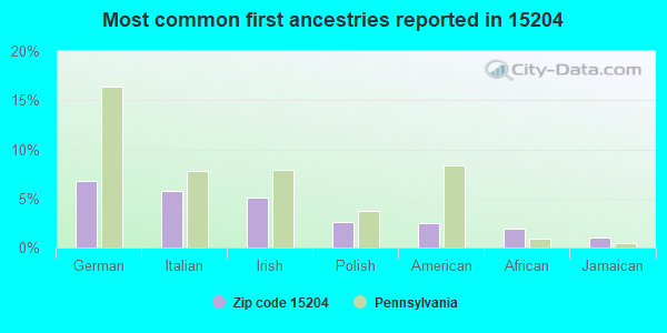 Most common first ancestries reported in 15204