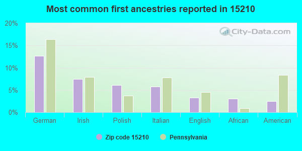 Most common first ancestries reported in 15210