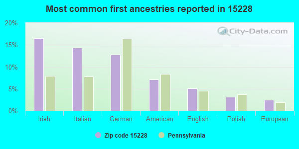 Most common first ancestries reported in 15228