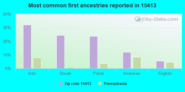 Most common first ancestries reported in 15413