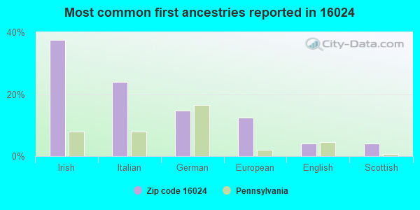 Most common first ancestries reported in 16024