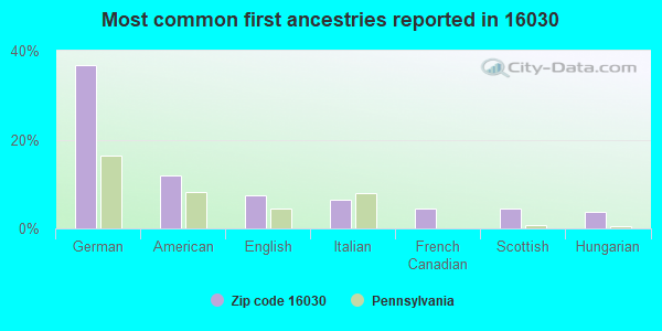 Most common first ancestries reported in 16030