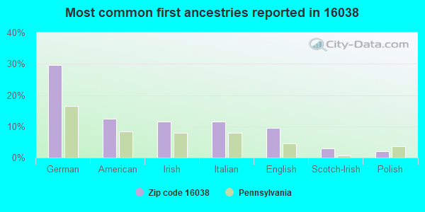 Most common first ancestries reported in 16038