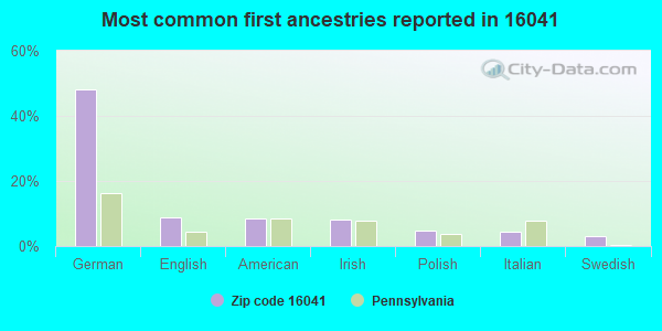 Most common first ancestries reported in 16041