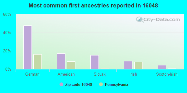 Most common first ancestries reported in 16048