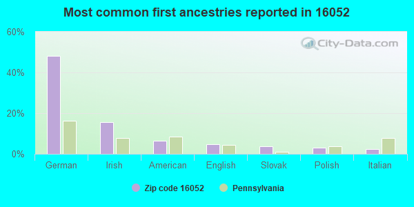 Most common first ancestries reported in 16052