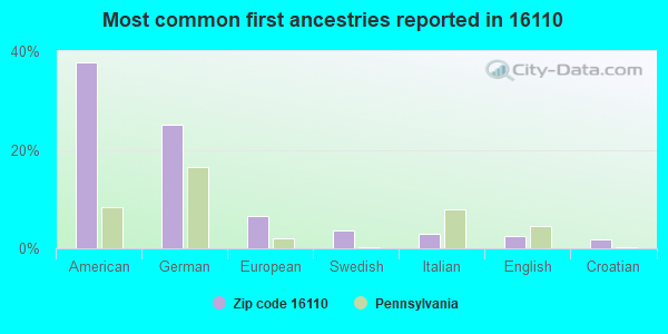 Most common first ancestries reported in 16110