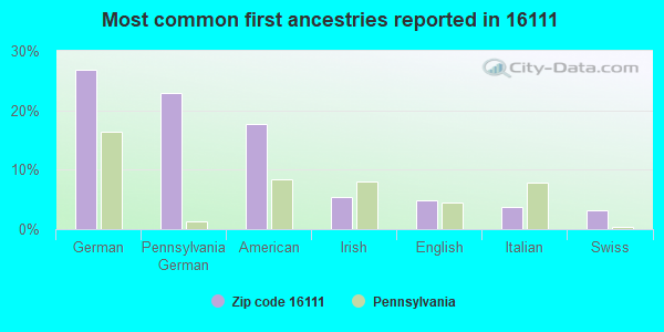 Most common first ancestries reported in 16111