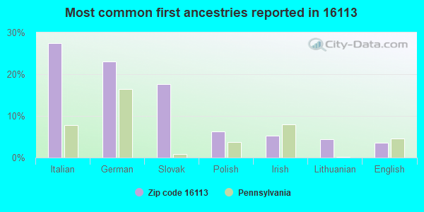 Most common first ancestries reported in 16113