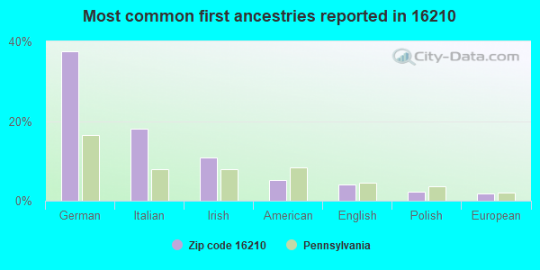 Most common first ancestries reported in 16210