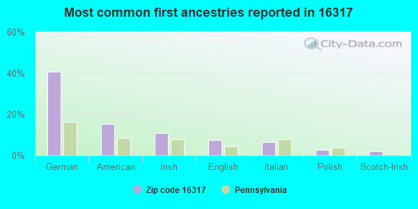 Most common first ancestries reported in 16317