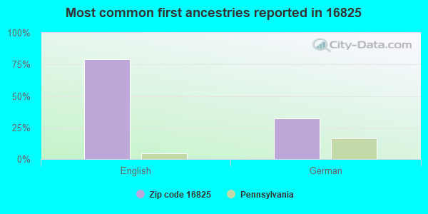 Most common first ancestries reported in 16825
