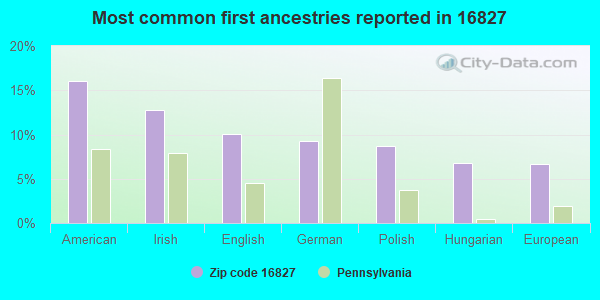 Most common first ancestries reported in 16827