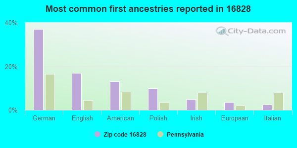 Most common first ancestries reported in 16828