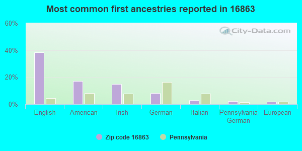 Most common first ancestries reported in 16863