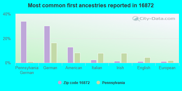 Most common first ancestries reported in 16872