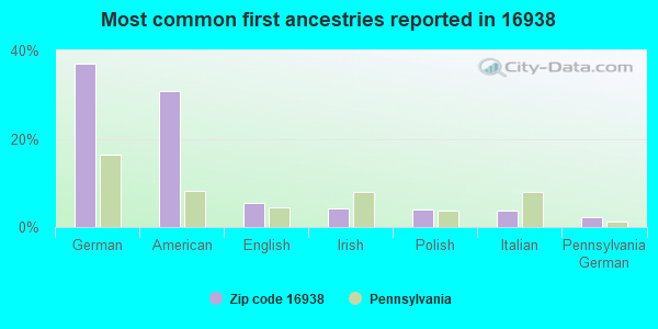 Most common first ancestries reported in 16938