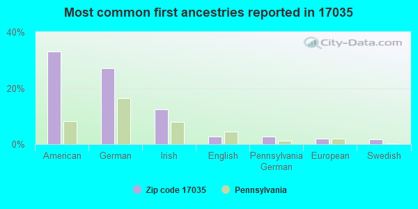 Most common first ancestries reported in 17035