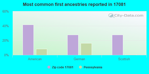 Most common first ancestries reported in 17081