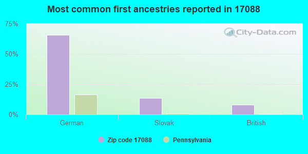 Most common first ancestries reported in 17088