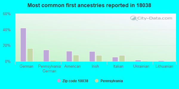Most common first ancestries reported in 18038