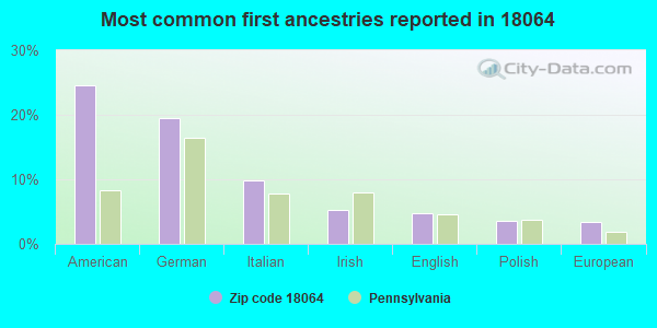 Most common first ancestries reported in 18064
