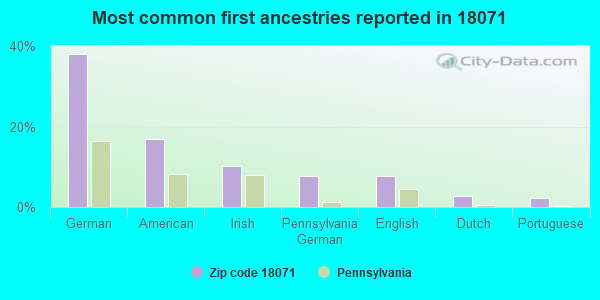 Most common first ancestries reported in 18071