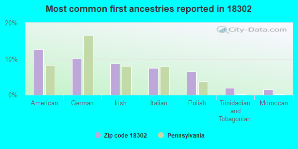 Most common first ancestries reported in 18302