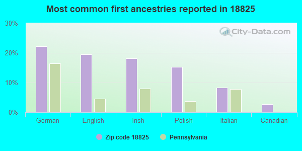 Most common first ancestries reported in 18825