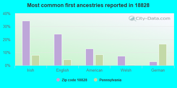 Most common first ancestries reported in 18828
