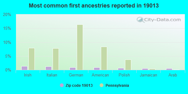 Most common first ancestries reported in 19013