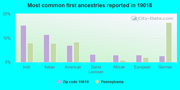 Most common first ancestries reported in 19018
