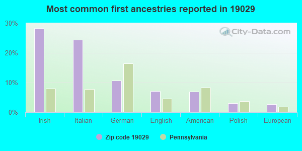 Most common first ancestries reported in 19029