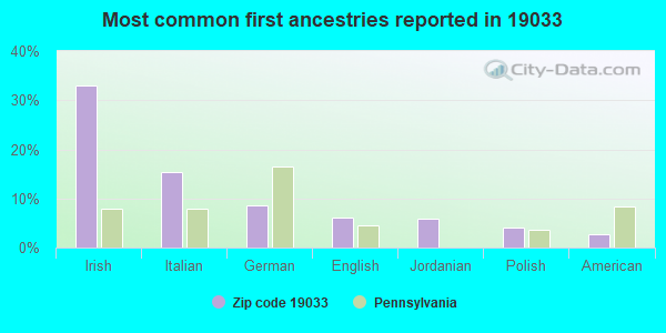 Most common first ancestries reported in 19033