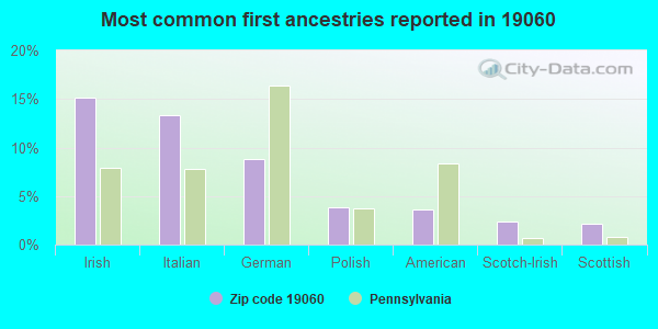 Most common first ancestries reported in 19060
