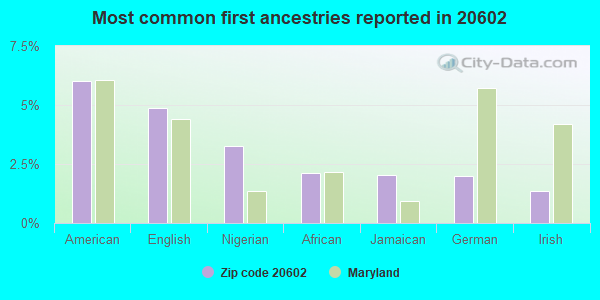 Most common first ancestries reported in 20602