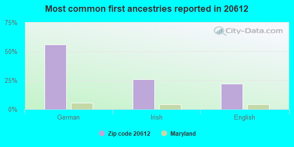 Most common first ancestries reported in 20612