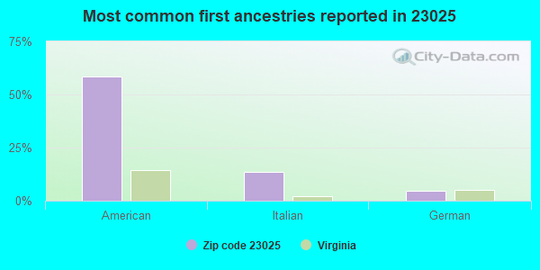 Most common first ancestries reported in 23025