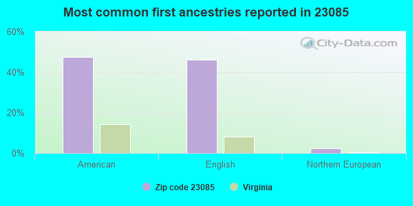 Most common first ancestries reported in 23085