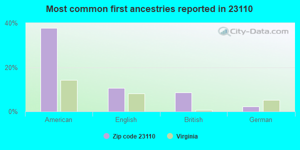 Most common first ancestries reported in 23110