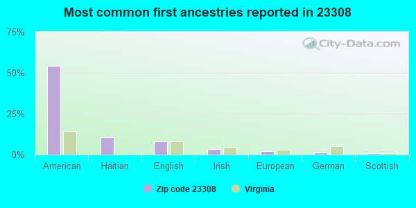 Most common first ancestries reported in 23308