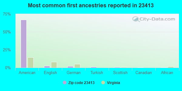 Most common first ancestries reported in 23413