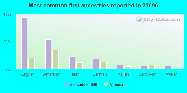 Most common first ancestries reported in 23696